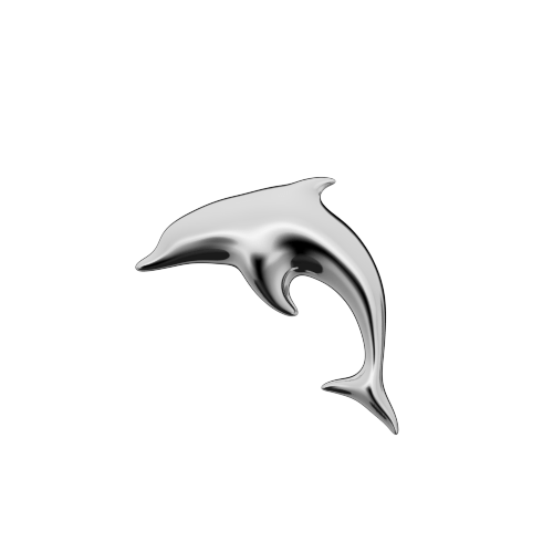 Dolphin teeth jewelry