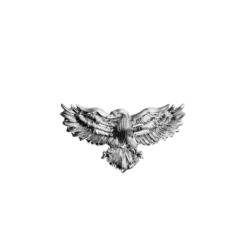 Eagle teeth jewelry