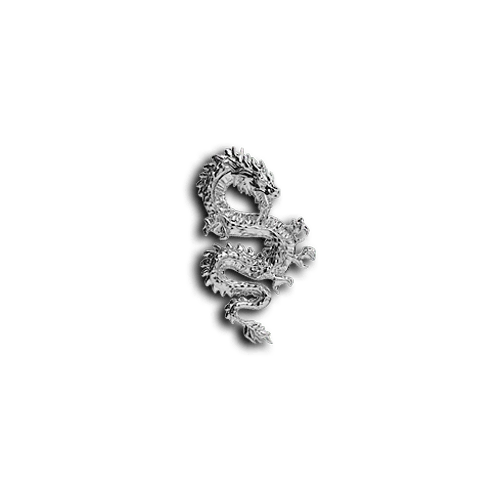 Asian Dragon animals teeth jewelry
