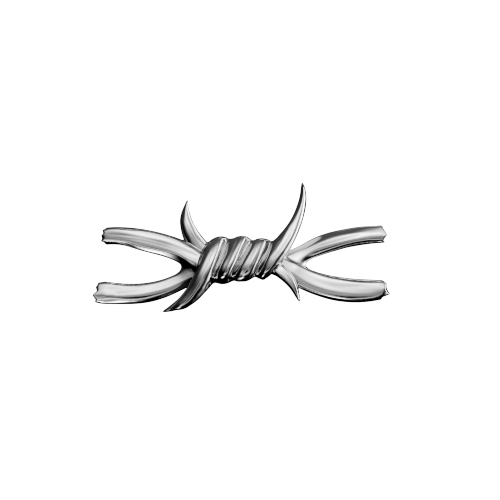 Barbed Wire 2 teeth jewelry