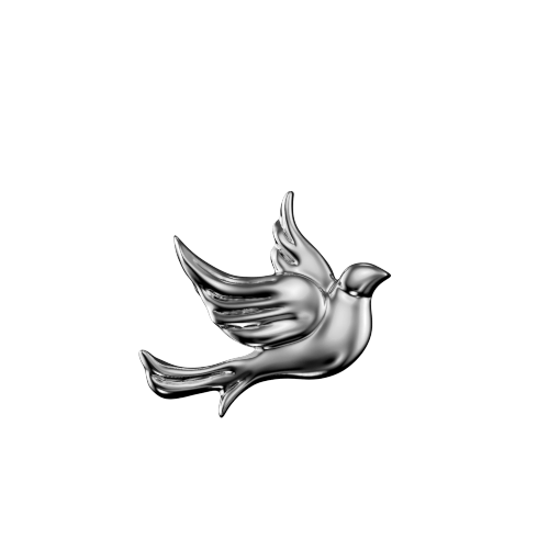 Dove teeth jewelry
