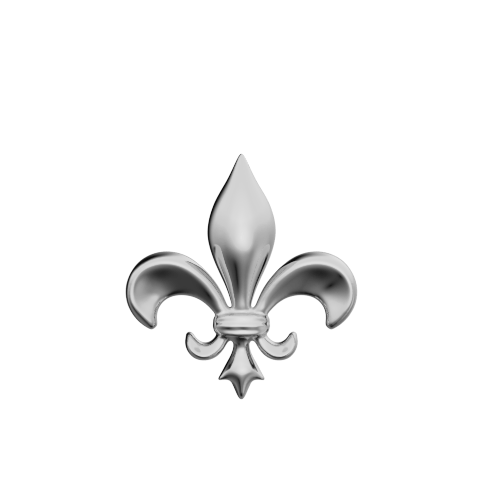 Fleur De Lys teeth jewelry