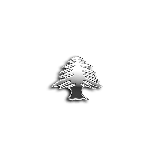 Lebanon Tree community teeth jewelry