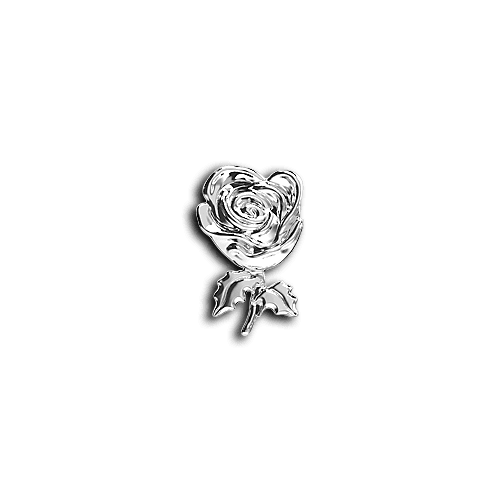 Rose teeth jewelry