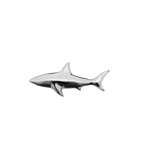 Shark teeth jewelry