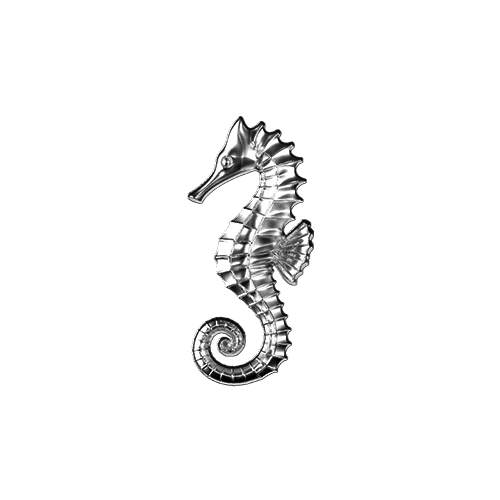 Seahorse teeth jewelry