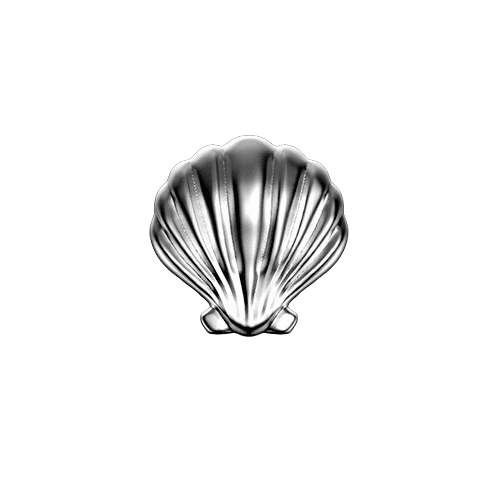 Seashell teeth jewelry