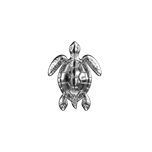 Sea turtle teeth jewelry