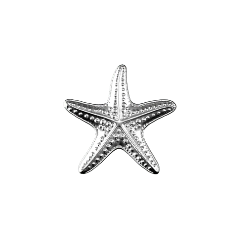 Starfish teeth jewelry