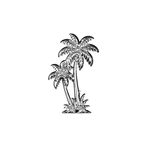Tropical Palm teeth jewelry