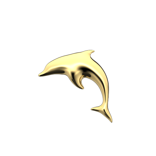 Dolphin teeth jewelry