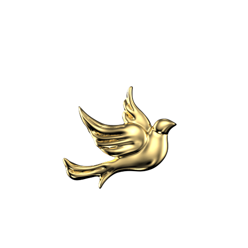 Dove teeth jewelry