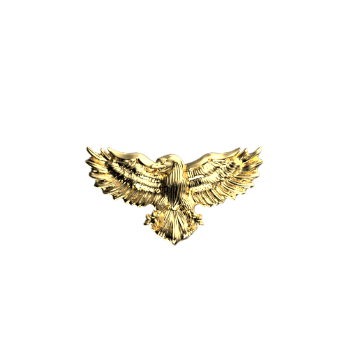 Eagle teeth jewelry