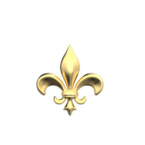 Fleur De Lys teeth jewelry