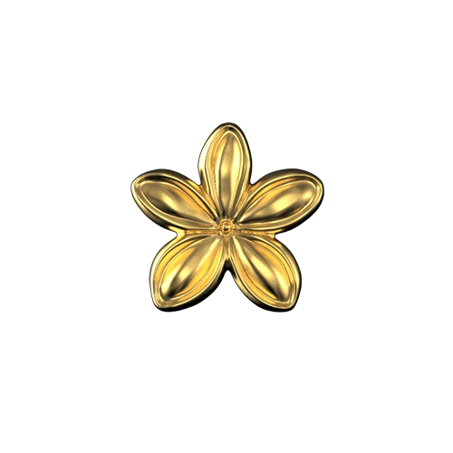 Hawaiian flower teeth jewelry