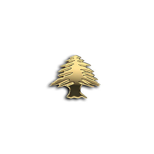 Lebanon Tree community teeth jewelry