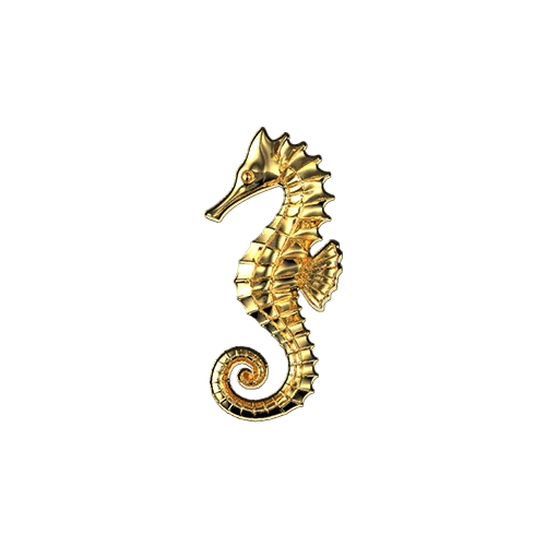 Seahorse teeth jewelry