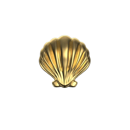 Seashell teeth jewelry