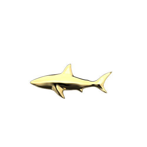 Shark teeth jewelry