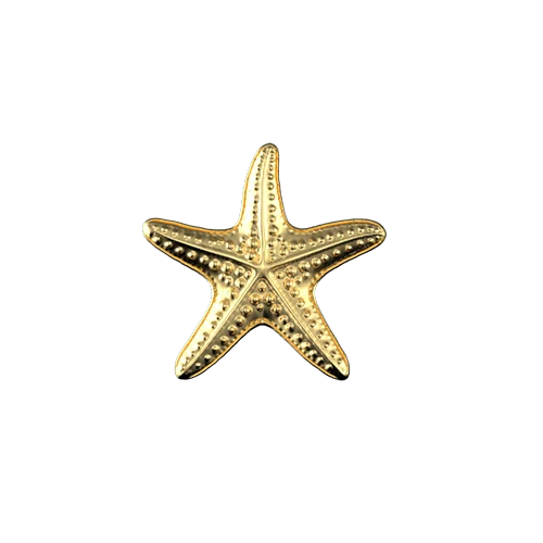 Starfish teeth jewelry