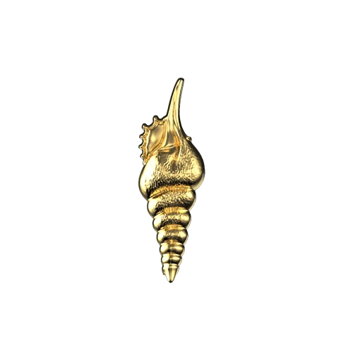 Twisted seashell teeth jewelry